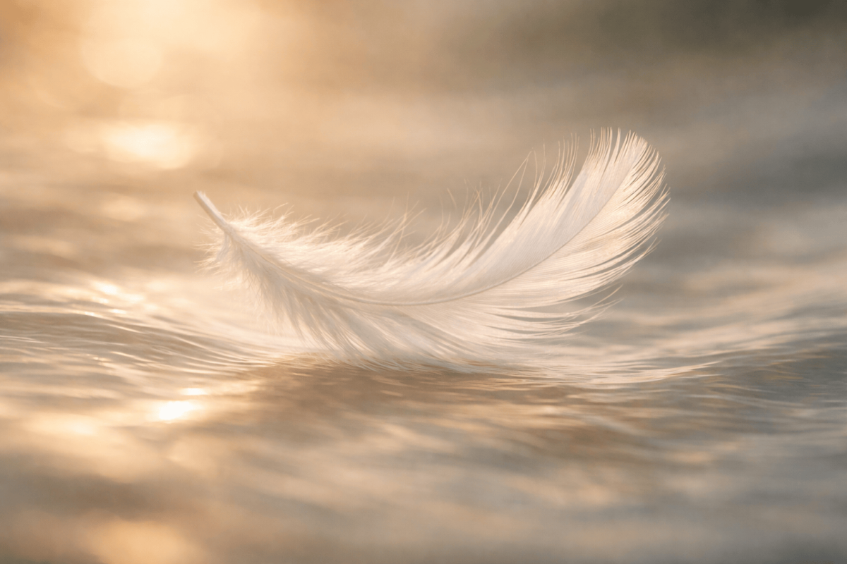 Eine weisse Feder schwebt sanft im Licht als Symbol für Atem-Heilkraft und Leichtigkeit.